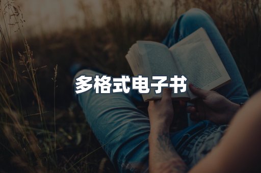多格式电子书